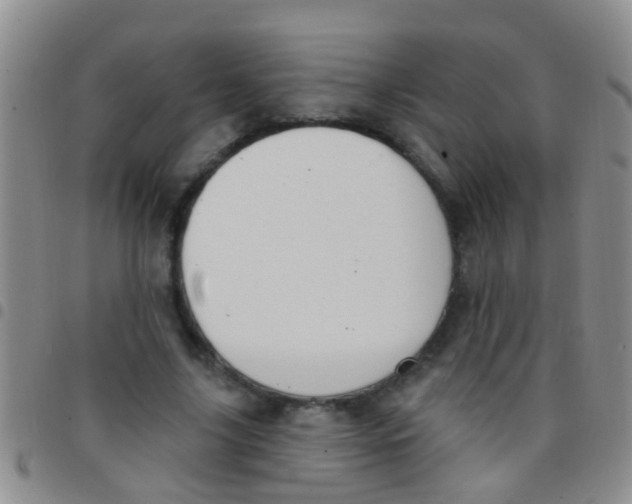 X0000097510635200803142042