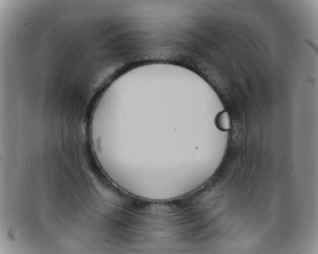 X0000097510636200803142042