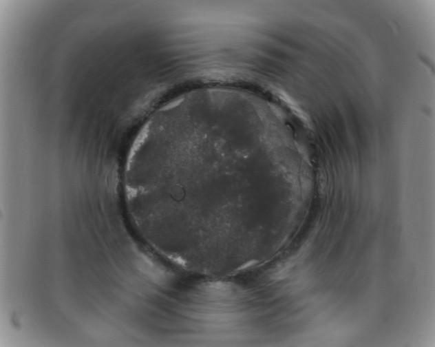 X0000097510637200803142042