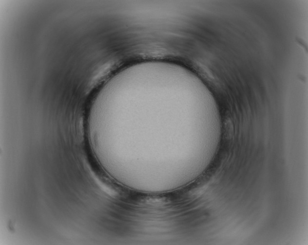 X0000097510638200803142042