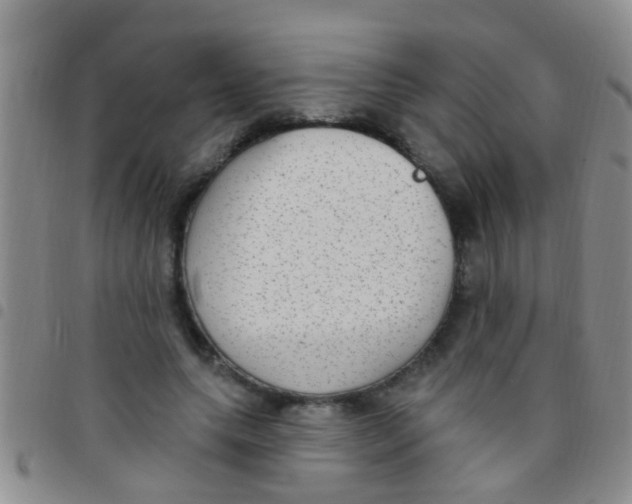 X0000097510639200803142042