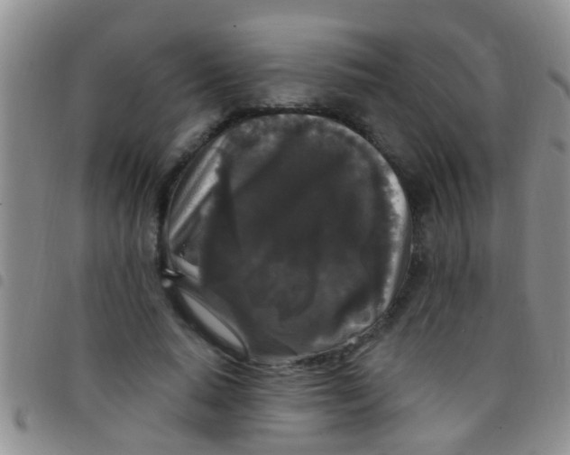 X0000097510640200803142042