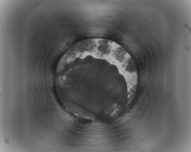 X0000097510641200803142042