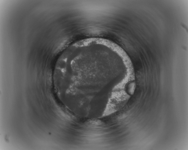 X0000097510642200803142042