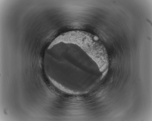 X0000097510643200803142042