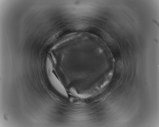 X0000097510644200803142042