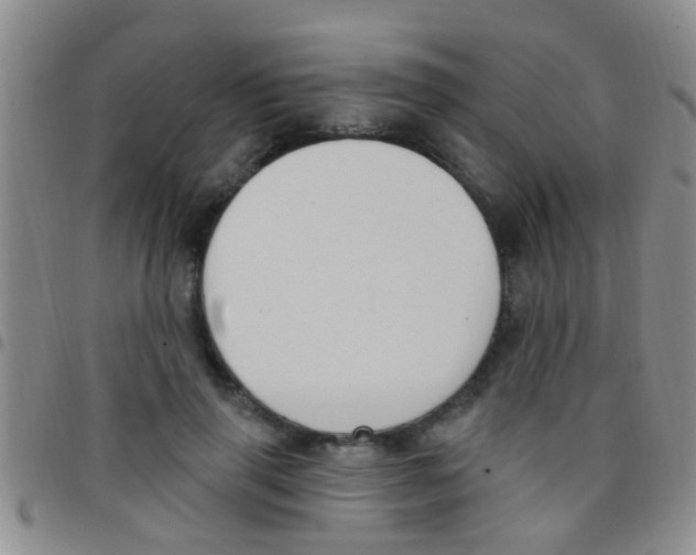 X0000097510645200803142042