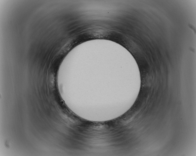 X0000097510646200803142042