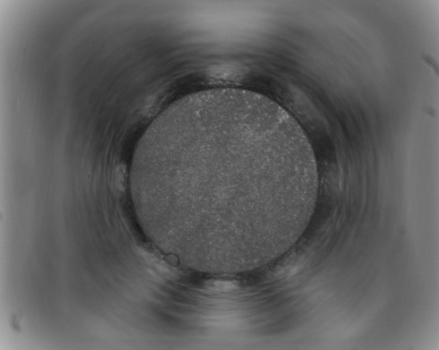 X0000097510649200803142042