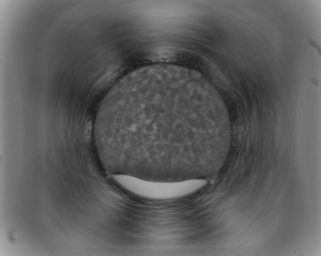 X0000097510652200803142042