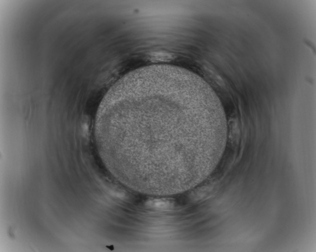 X0000097510655200803142042