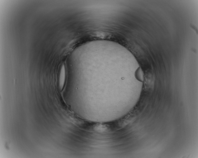 X0000097510656200803142042