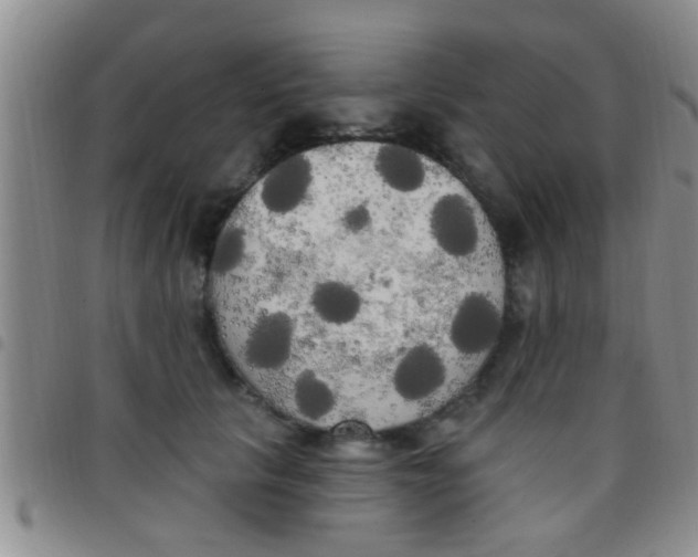 X0000097510657200803142042