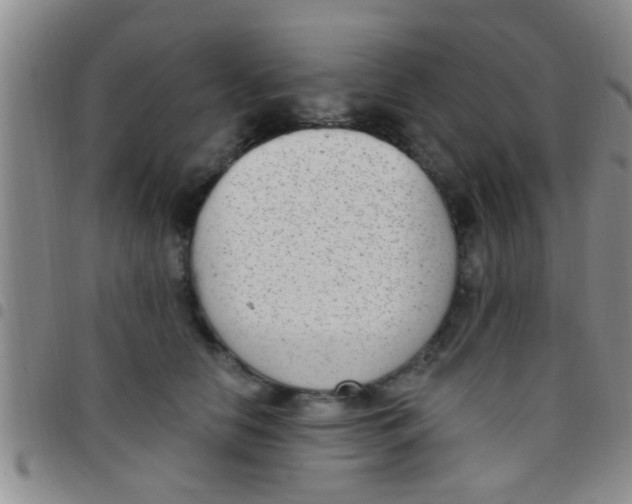 X0000097510658200803142042