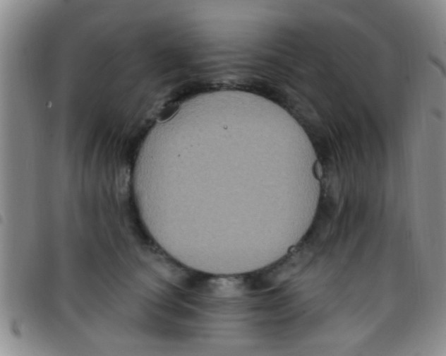 X0000097510660200803142042