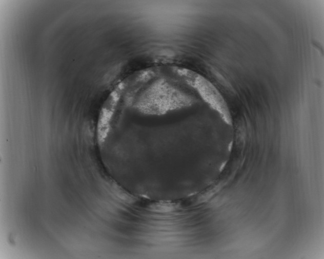 X0000097510661200803142042