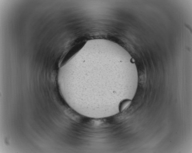 X0000097510662200803142042