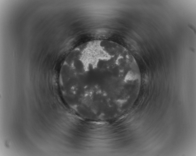 X0000097510663200803142042