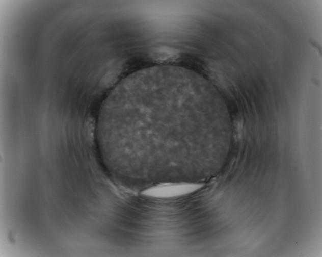X0000097510664200803142042