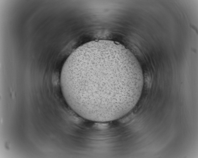 X0000097510665200803142042