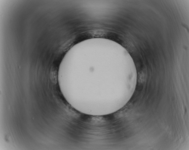 X0000097510666200803142042