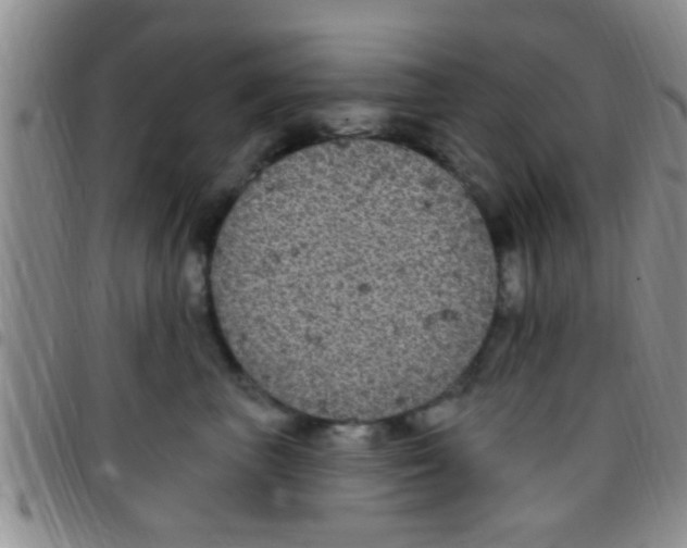 X0000097510667200803142042