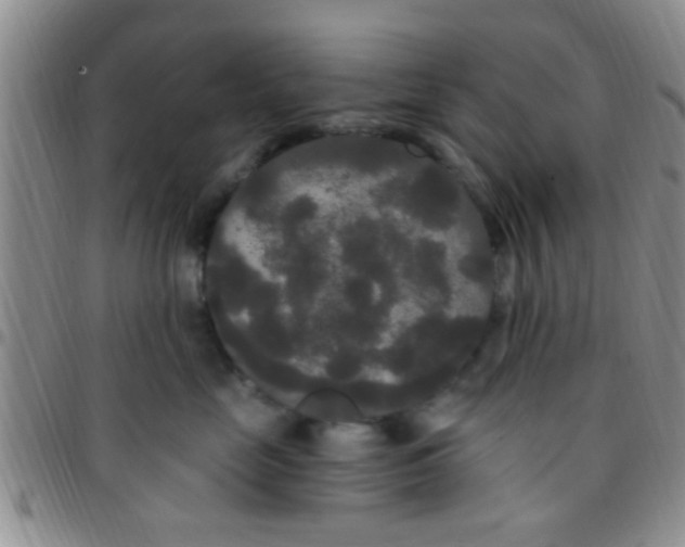 X0000097510669200803142042