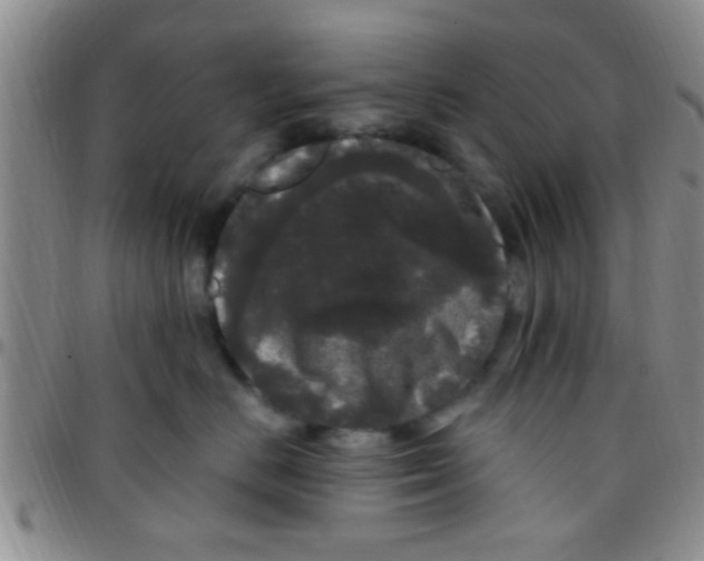 X0000097510670200803142042