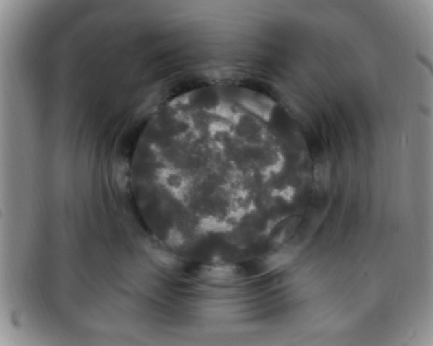 X0000097510671200803142042