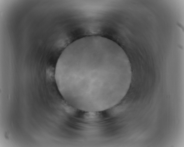 X0000097510672200803142042