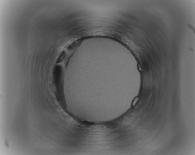 X0000097510673200803142041