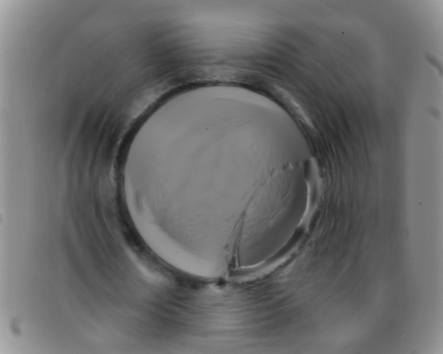 X0000097510674200803142041