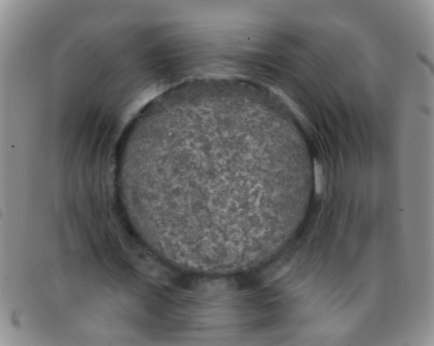 X0000097510675200803142041