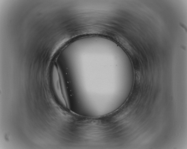 X0000097510676200803142041