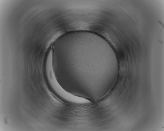 X0000097510677200803142041