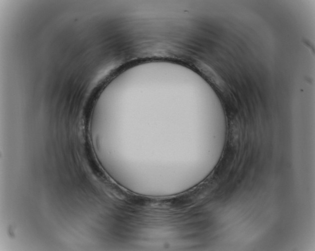 X0000097510680200803142041