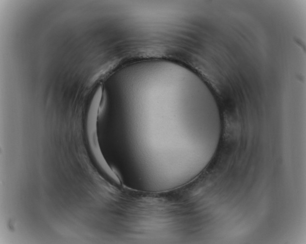 X0000097510681200803142041