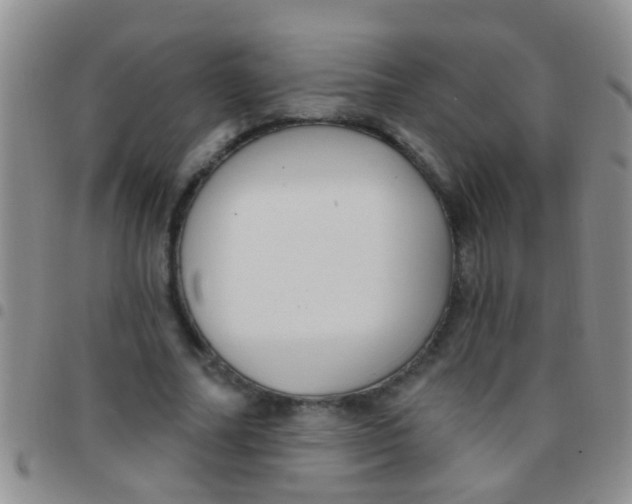 X0000097510682200803142041