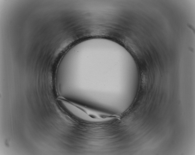 X0000097510684200803142041