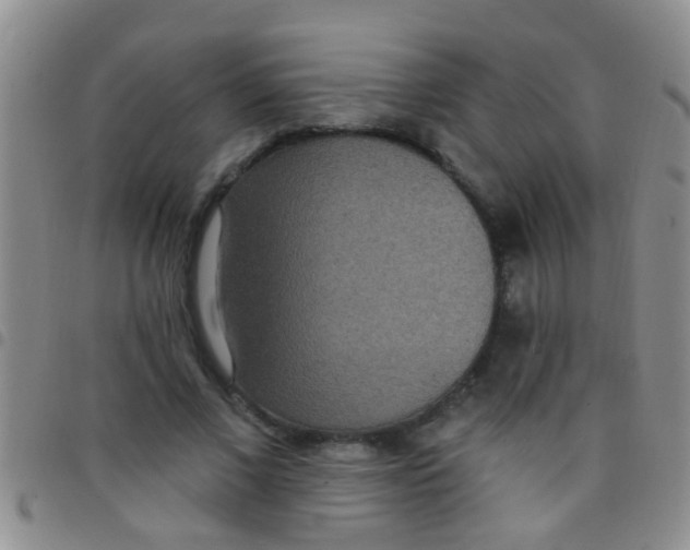 X0000097510685200803142041