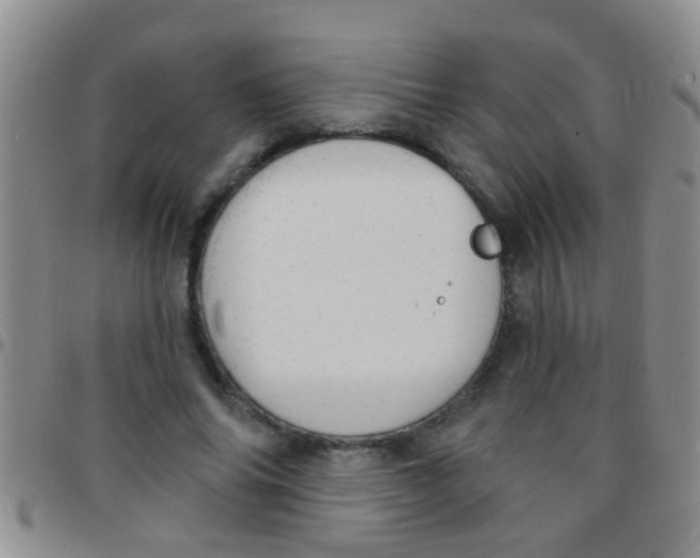 X0000097510686200803142041