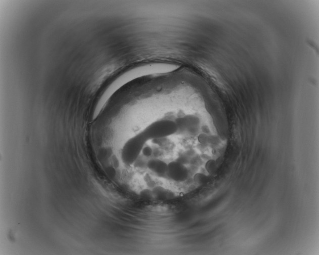 X0000097510687200803142041