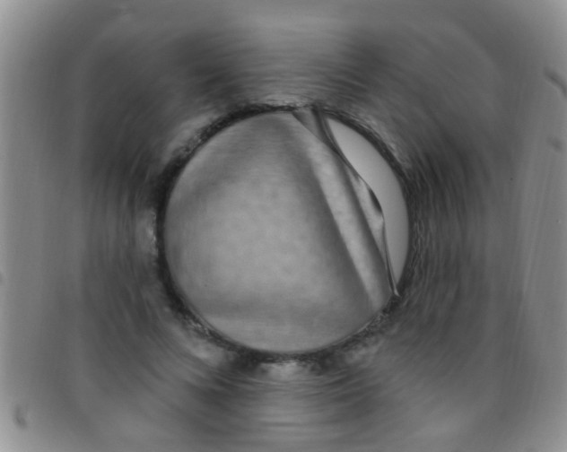 X0000097510688200803142041