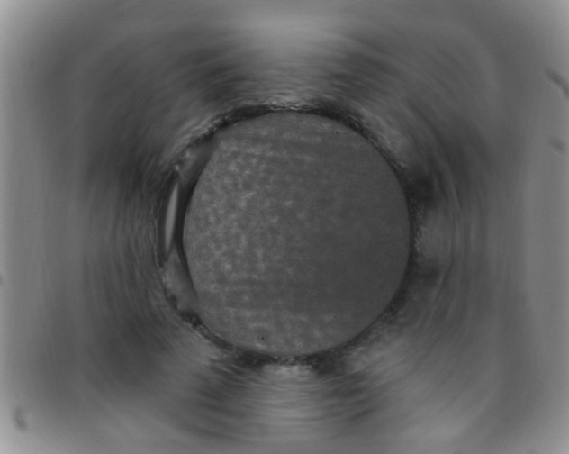 X0000097510689200803142041