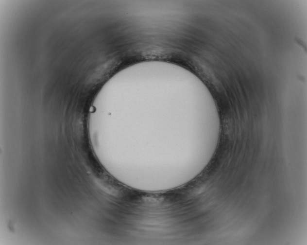 X0000097510690200803142041