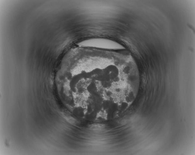 X0000097510691200803142041