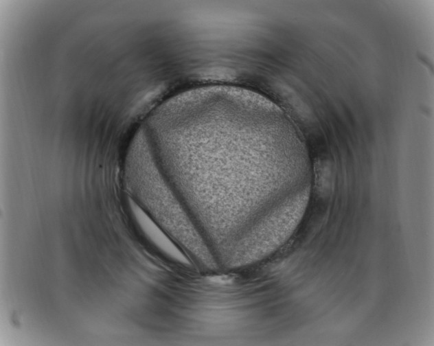 X0000097510692200803142041