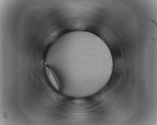 X0000097510693200803142041