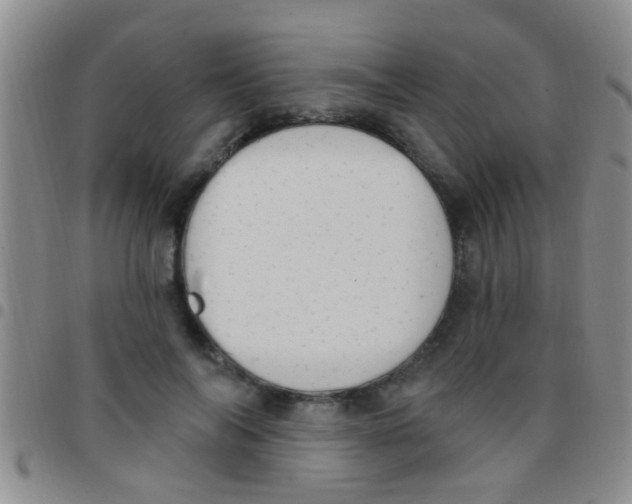 X0000097510694200803142041