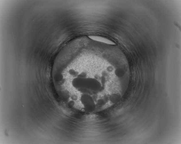 X0000097510695200803142041